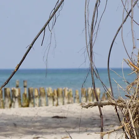 Apartment Kapitänswohnung *