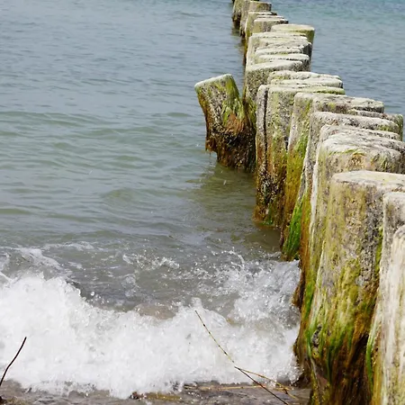 Apartment Kapitänswohnung Bad Doberan